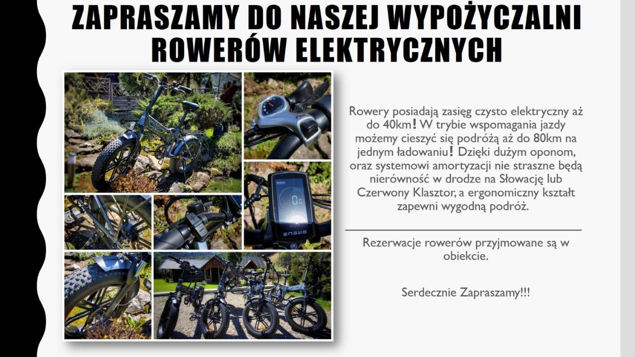 Willa Kania Szczawnica Luaran gambar